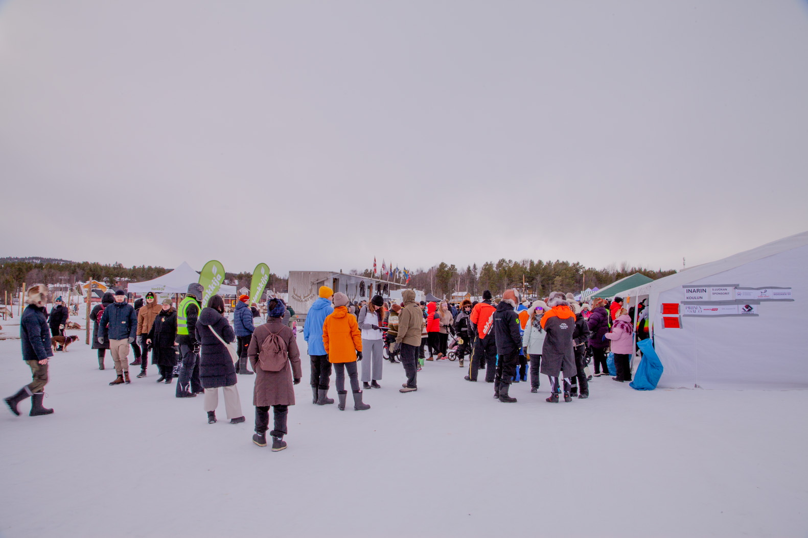 Porokisojen yleisöä vuonna 2026