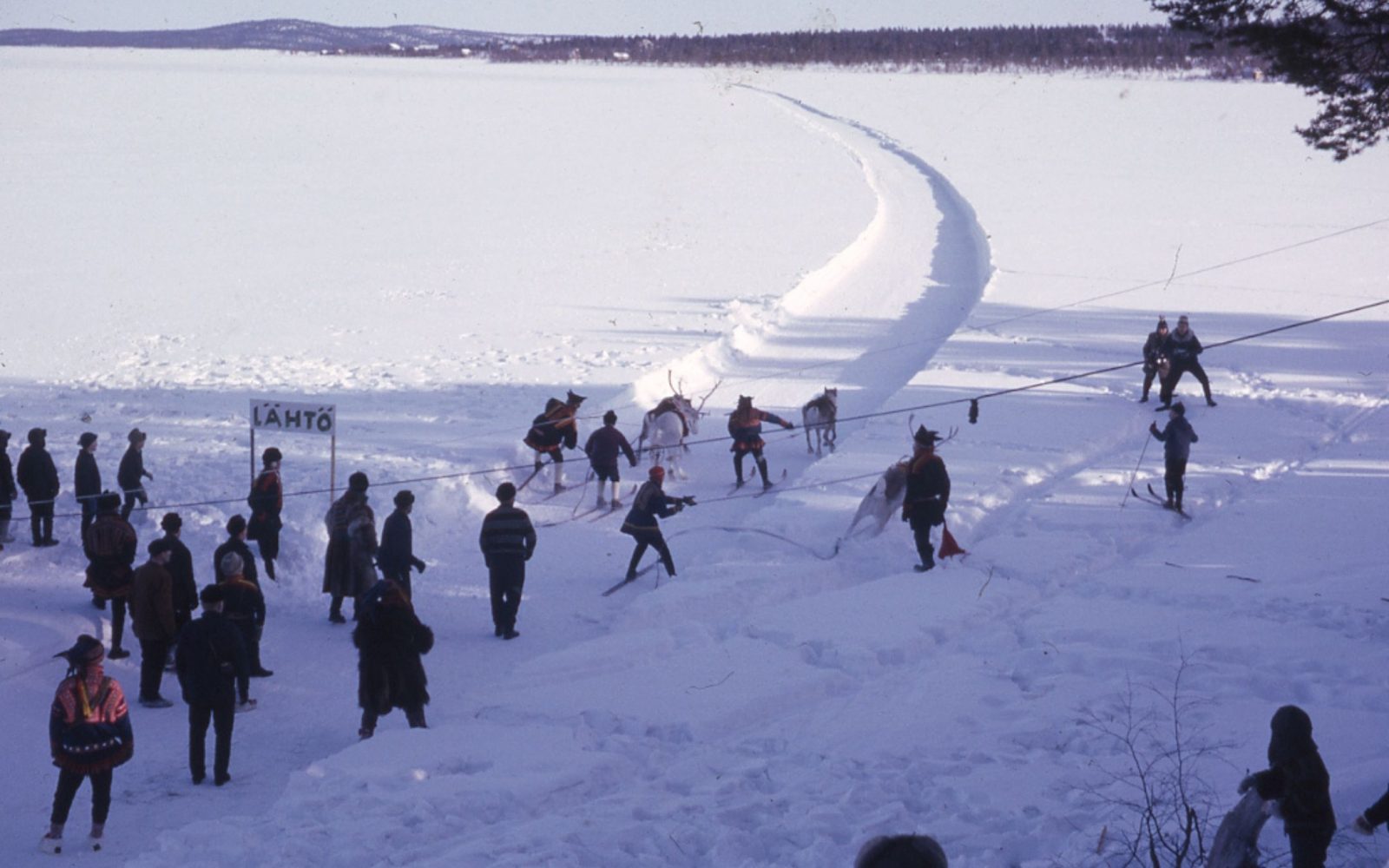 Vanha valokuva porokisoista
