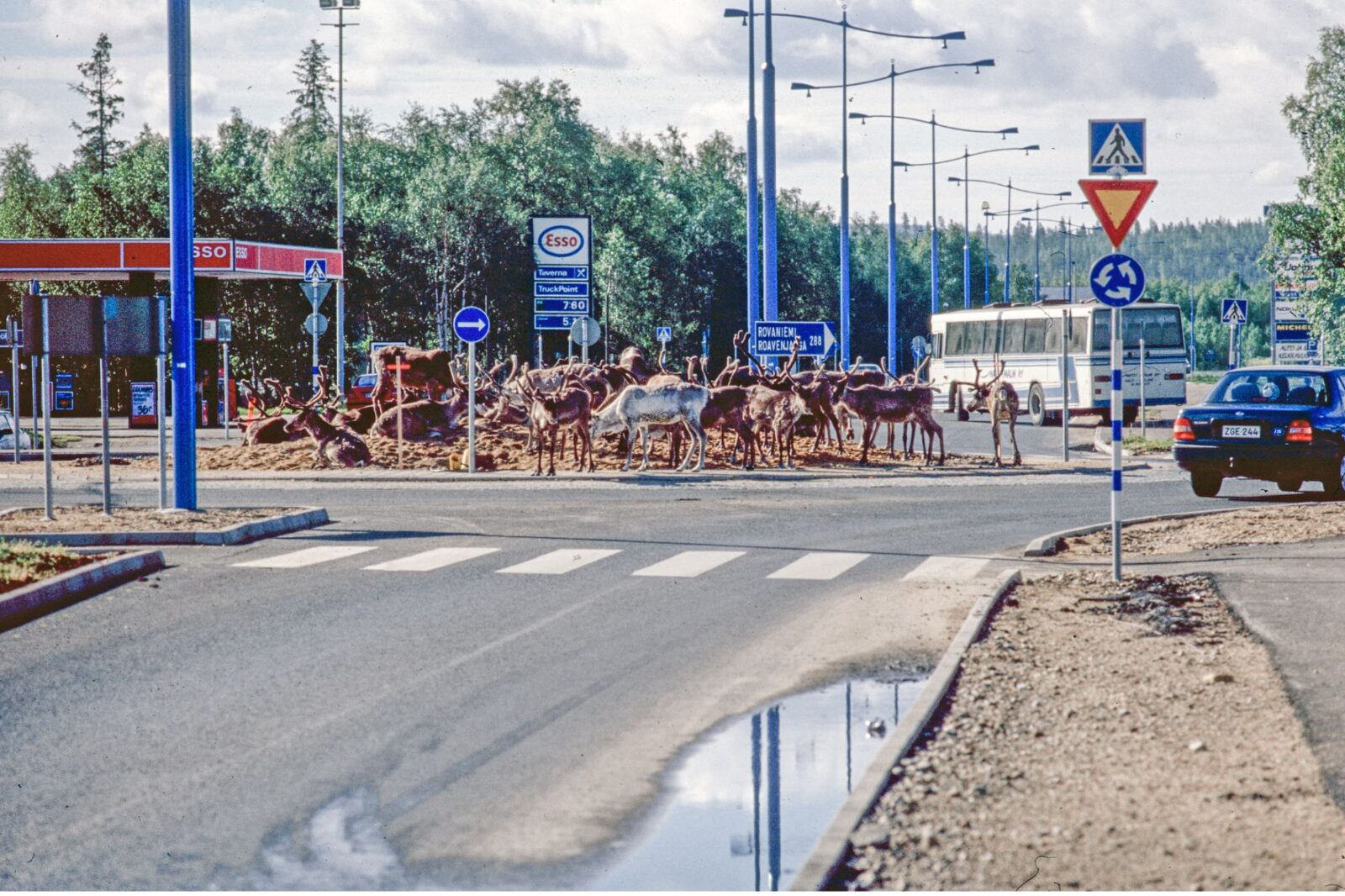 Poroja Ivalon liikenneympyrässä (1999).